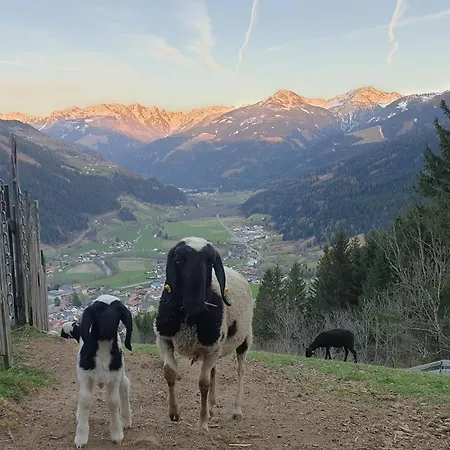 Panoramahof Bianca * Winklern (Spittal an der Drau)