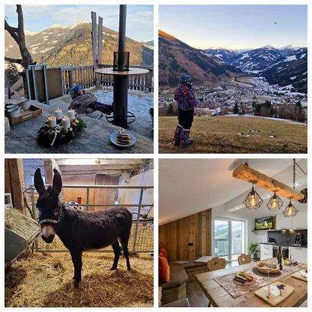 Apartment Panoramahof Bianca Winklern (Spittal an der Drau)