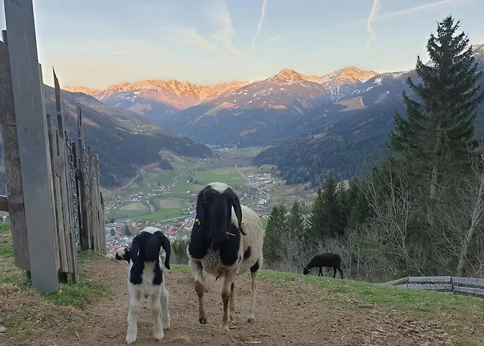 Panoramahof Bianca * Winklern (Spittal an der Drau)