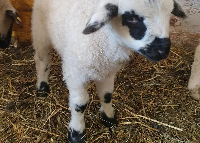 Panoramahof Bianca Apartmán Winklern (Spittal an der Drau)